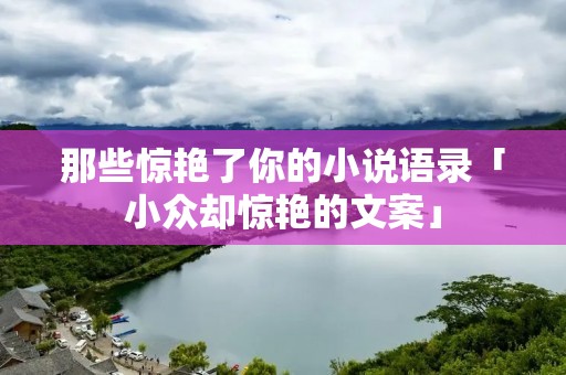 那些惊艳了你的小说语录「小众却惊艳的文案」