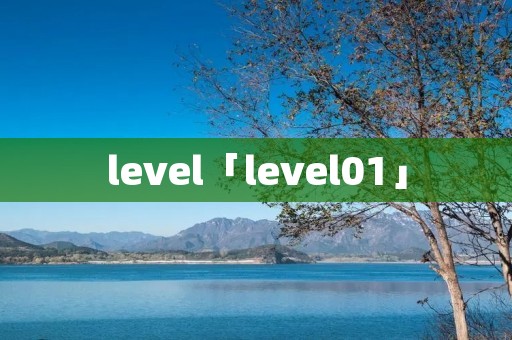 level「level01」