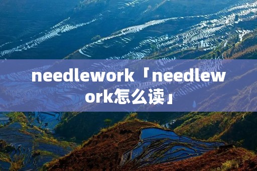 needlework「needlework怎么读」 needlework「needlework怎么读」