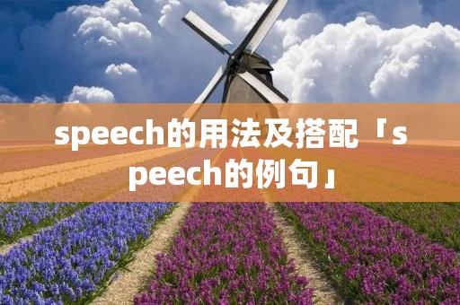 speech的用法及搭配「speech的例句」