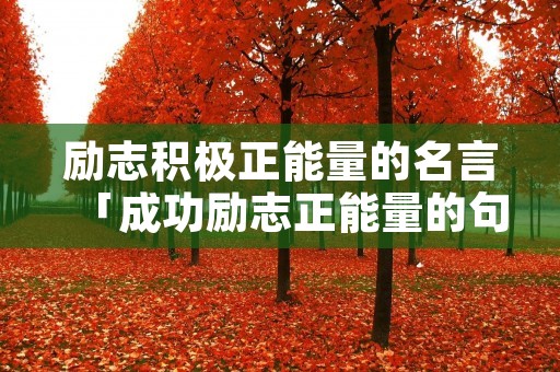 励志积极正能量的名言「成功励志正能量的句子」