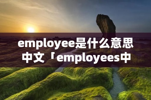 employee是什么意思中文「employees中文什么意思」