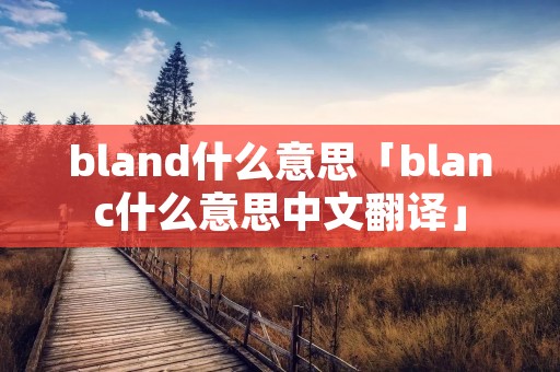 bland什么意思「blanc什么意思中文翻译」 bland什么意思「blanc什么意思中文翻译」
