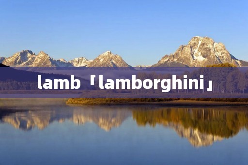 lamb「lamborghini」