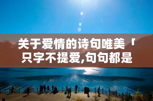 关于爱情的诗句唯美「只字不提爱,句句都是爱」