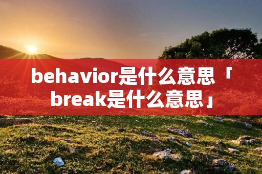 behavior是什么意思「break是什么意思」