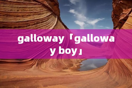 galloway「galloway boy」 galloway「galloway boy」