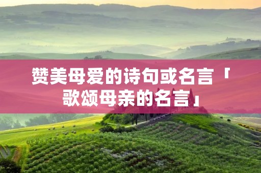 赞美母爱的诗句或名言「歌颂母亲的名言」