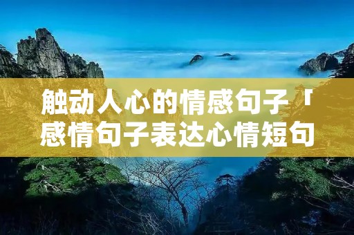 触动人心的情感句子「感情句子表达心情短句」
