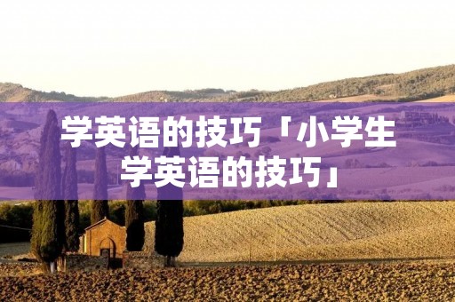 学英语的技巧「小学生学英语的技巧」