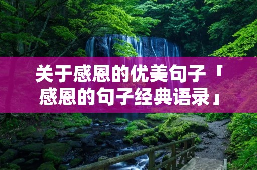 关于感恩的优美句子「感恩的句子经典语录」