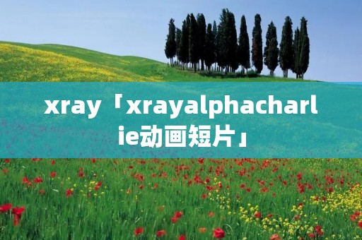 xray「xrayalphacharlie动画短片」 xray「xrayalphacharlie动画短片」