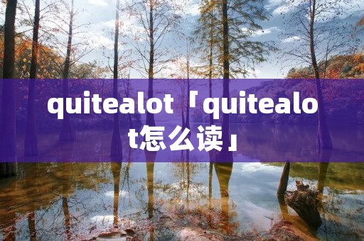 quitealot「quitealot怎么读」