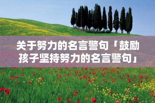 关于努力的名言警句「鼓励孩子坚持努力的名言警句」