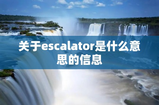 关于escalator是什么意思的信息