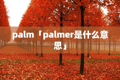 palm「palmer是什么意思」
