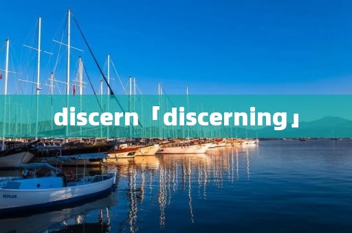 discern「discerning」