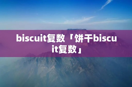 biscuit复数「饼干biscuit复数」