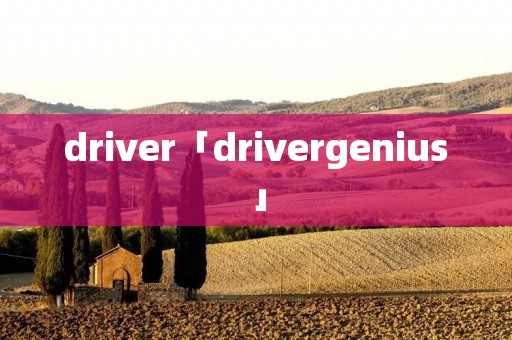 driver「drivergenius」