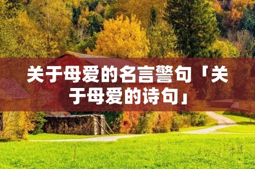 关于母爱的名言警句「关于母爱的诗句」