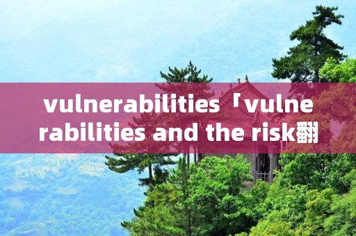 vulnerabilities「vulnerabilities and the risk翻译」
