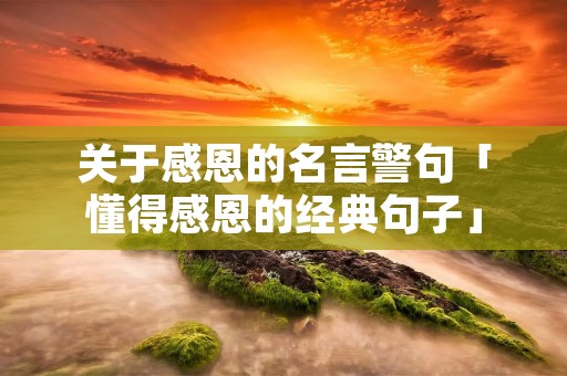 关于感恩的名言警句「懂得感恩的经典句子」