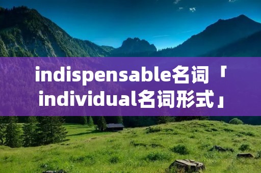 indispensable名词「individual名词形式」