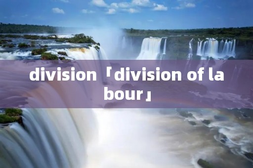 division「division of labour」