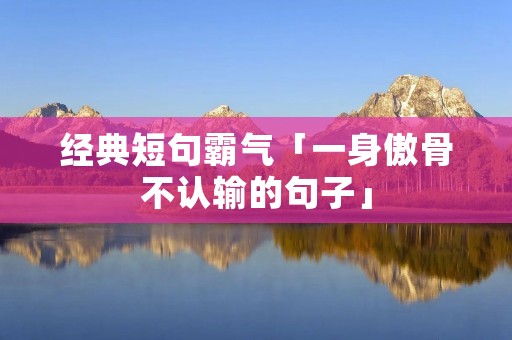 经典短句霸气「一身傲骨不认输的句子」
