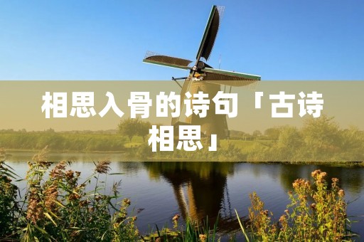 相思入骨的诗句「古诗相思」