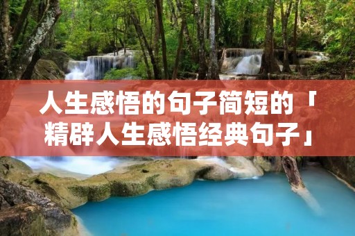 人生感悟的句子简短的「精辟人生感悟经典句子」