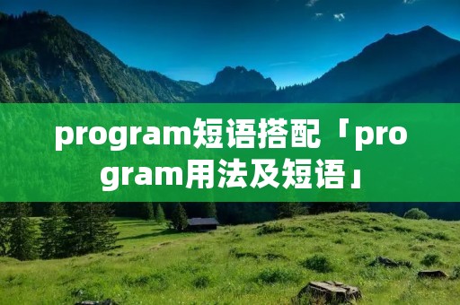 program短语搭配「program用法及短语」