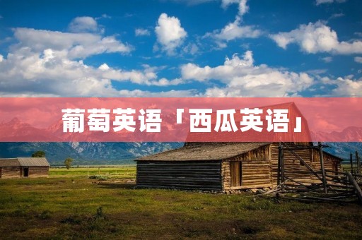 葡萄英语「西瓜英语」