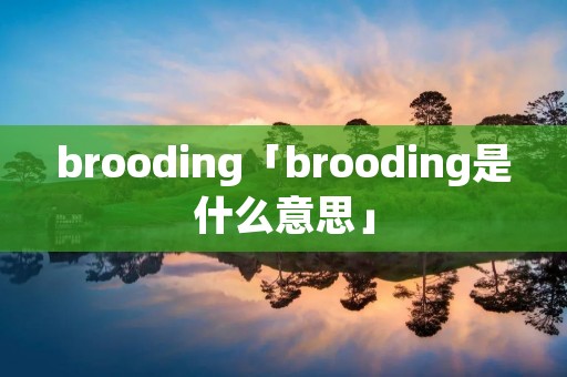 brooding「brooding是什么意思」 brooding「brooding是什么意思」