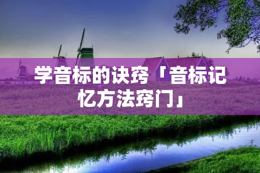 学音标的诀窍「音标记忆方法窍门」