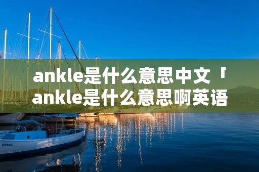 ankle是什么意思中文「ankle是什么意思啊英语」