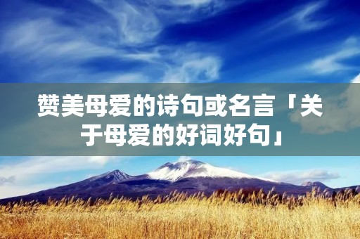 赞美母爱的诗句或名言「关于母爱的好词好句」
