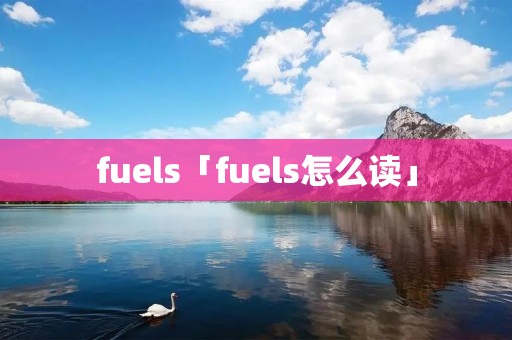 fuels「fuels怎么读」