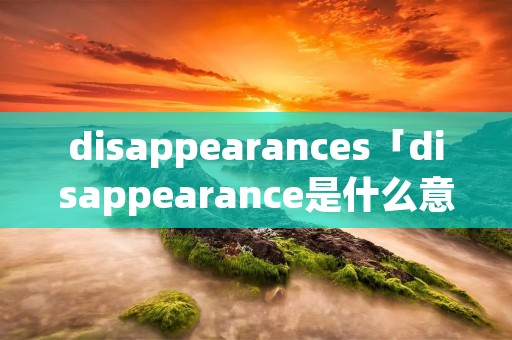 disappearances「disappearance是什么意思」