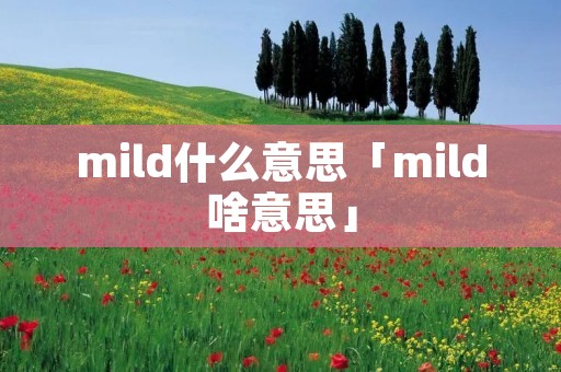mild什么意思「mild啥意思」
