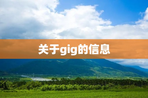 关于gig的信息 关于gig的信息
