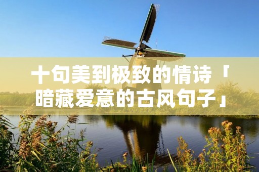 十句美到极致的情诗「暗藏爱意的古风句子」