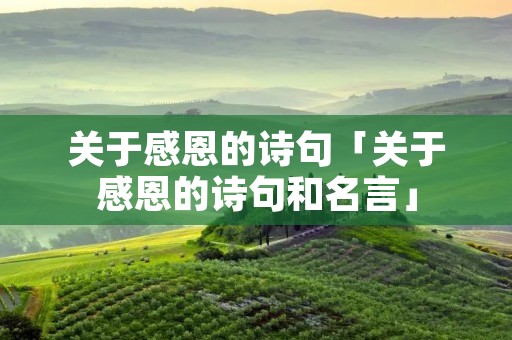 关于感恩的诗句「关于感恩的诗句和名言」