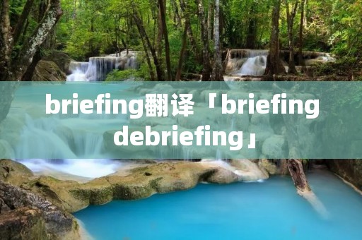 briefing翻译「briefing debriefing」 briefing翻译「briefing debriefing」
