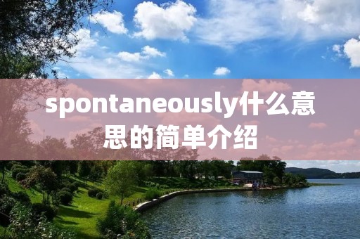 spontaneously什么意思的简单介绍 spontaneously什么意思的简单介绍