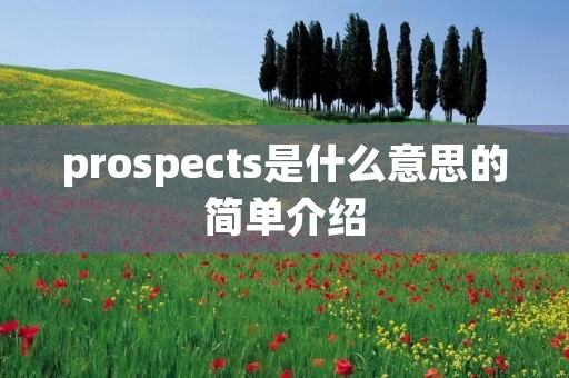 prospects是什么意思的简单介绍