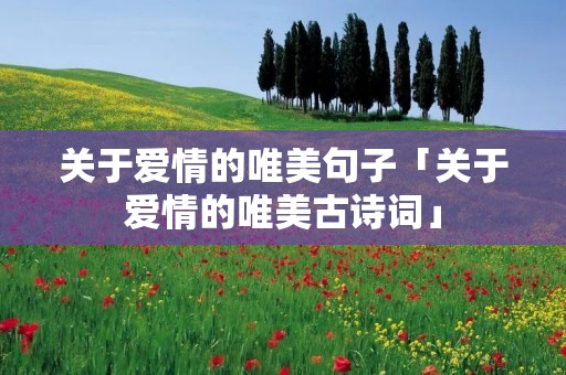 关于爱情的唯美句子「关于爱情的唯美古诗词」
