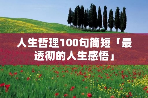 人生哲理100句简短「最透彻的人生感悟」
