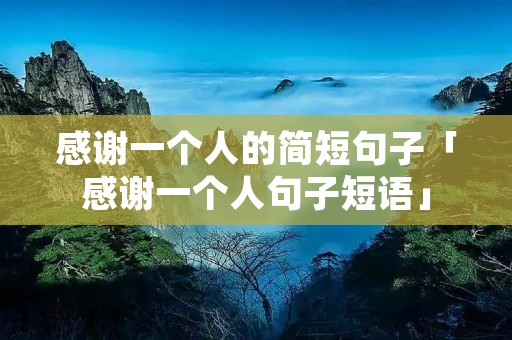 感谢一个人的简短句子「感谢一个人句子短语」