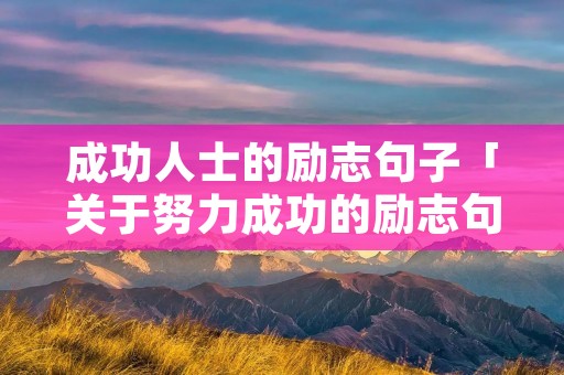 成功人士的励志句子「关于努力成功的励志句子」